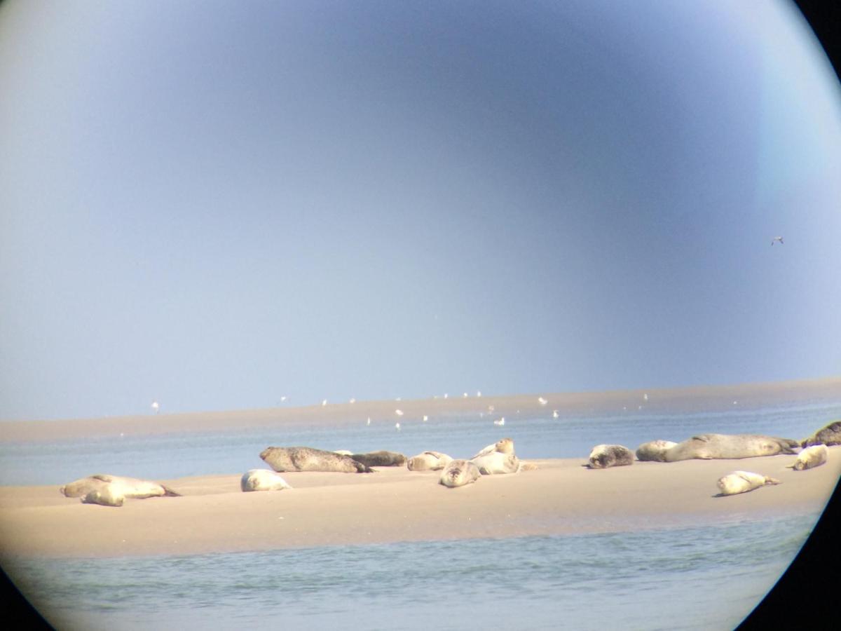 Villa St Laurent Criel-sur-Mer Buitenkant foto
